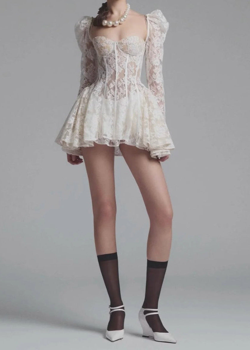 Sheer Lace Corset Mini Dress With Open Back