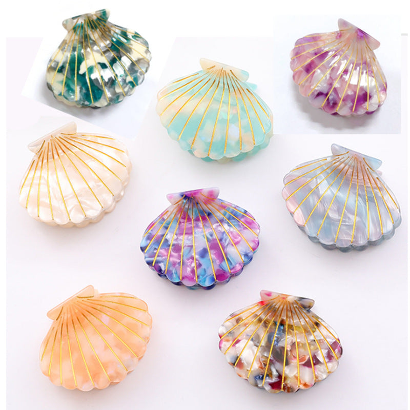 Simple Colorful Shell Acetate Claw Claw