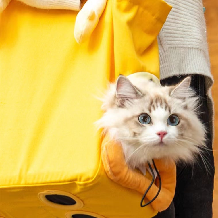 Fall And Winter Travel Bag Puppy Dog Cat Four Feet Cat Backpacks