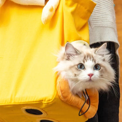 Fall And Winter Travel Bag Puppy Dog Cat Four Feet Cat Backpacks