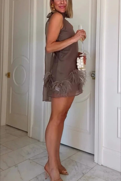 Playful Charm Sheer Chiffon Embellished Feather Back Bow H-line Mini Dress