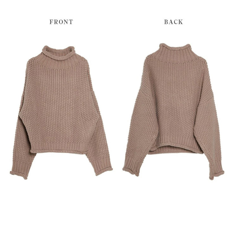 Long Sleeves Loose Solid Color High Neck Knitwear Sweater