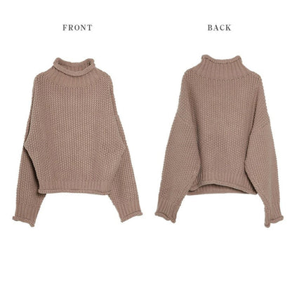 Long Sleeves Loose Solid Color High Neck Knitwear Sweater