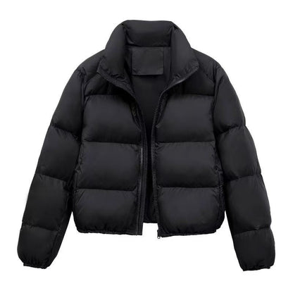 Solid Color Cotton Polyester Padded Jacket Stand Collar