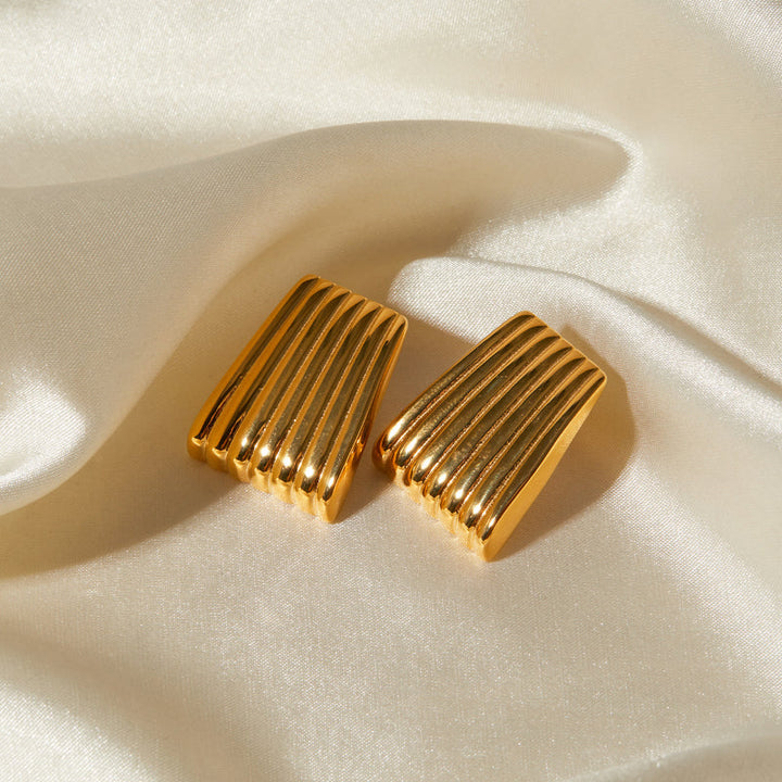 Stainless Steel Earrings