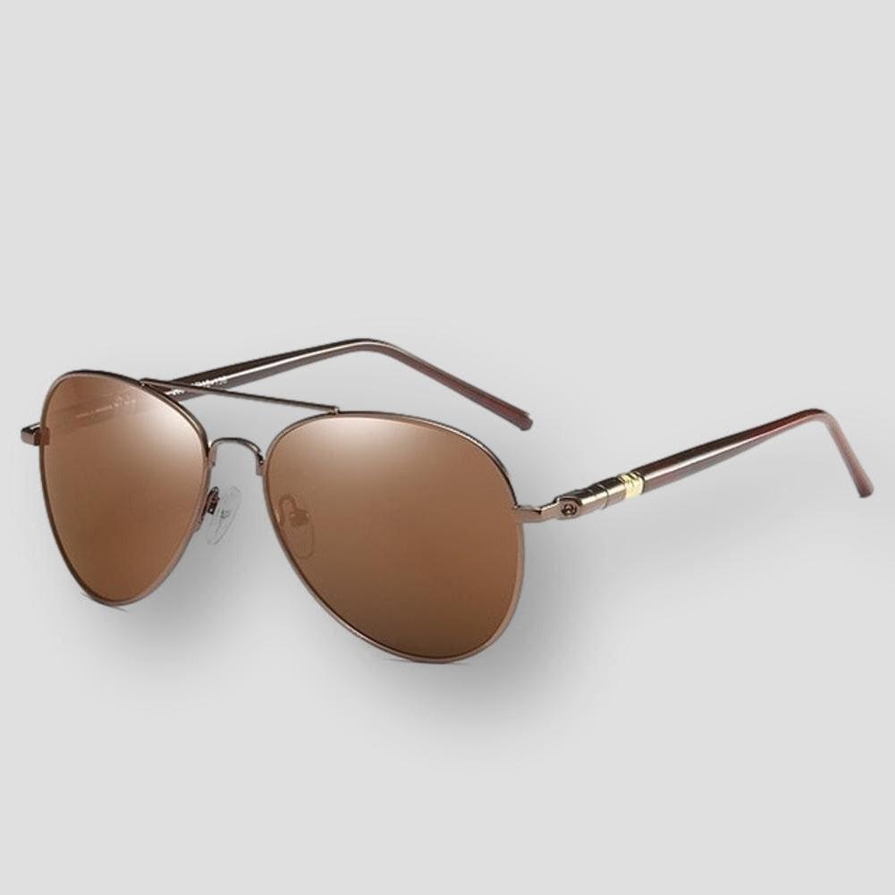 Saint Morris Polarized Aviator Sunglasses