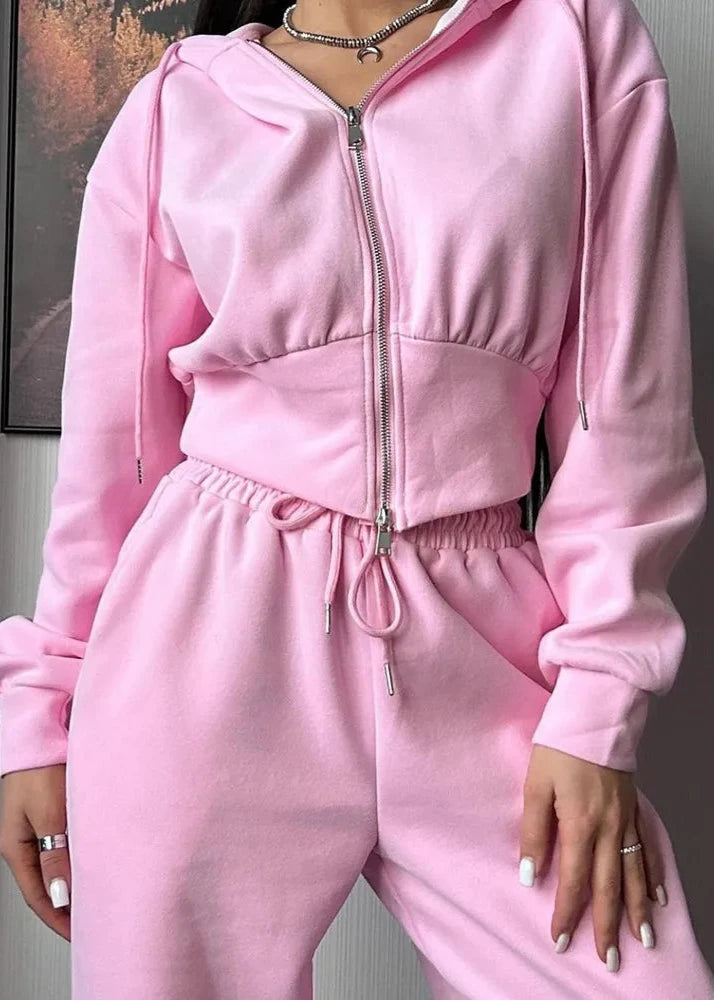 Hooded Zip Up Two Piece Set In Soft Fabric