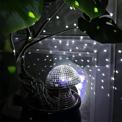 Discomushroom - Dazzle Any Room