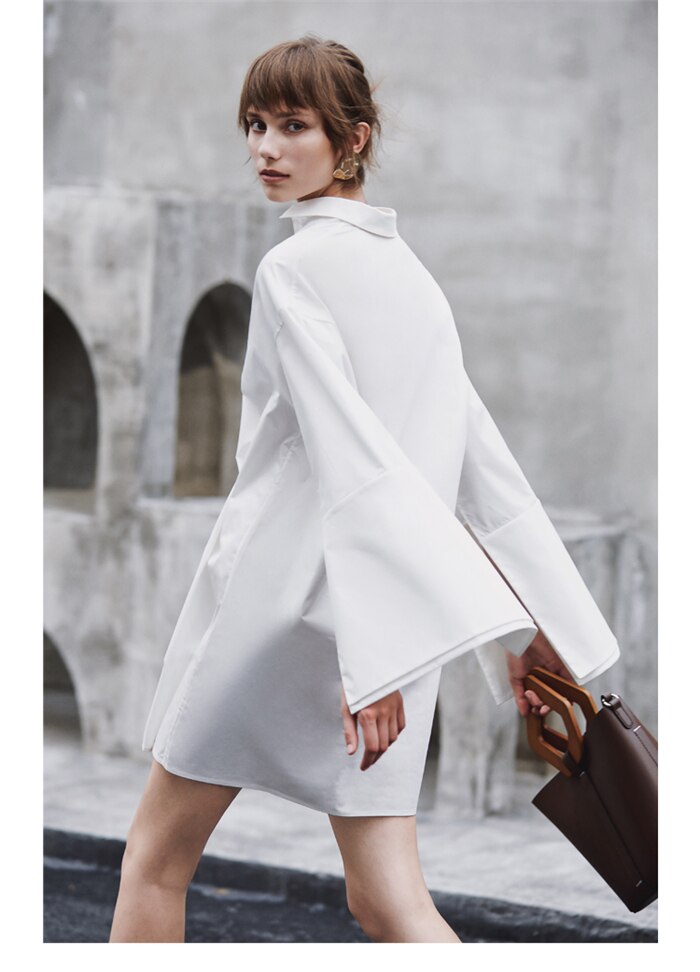 Rosa Elegant Dress