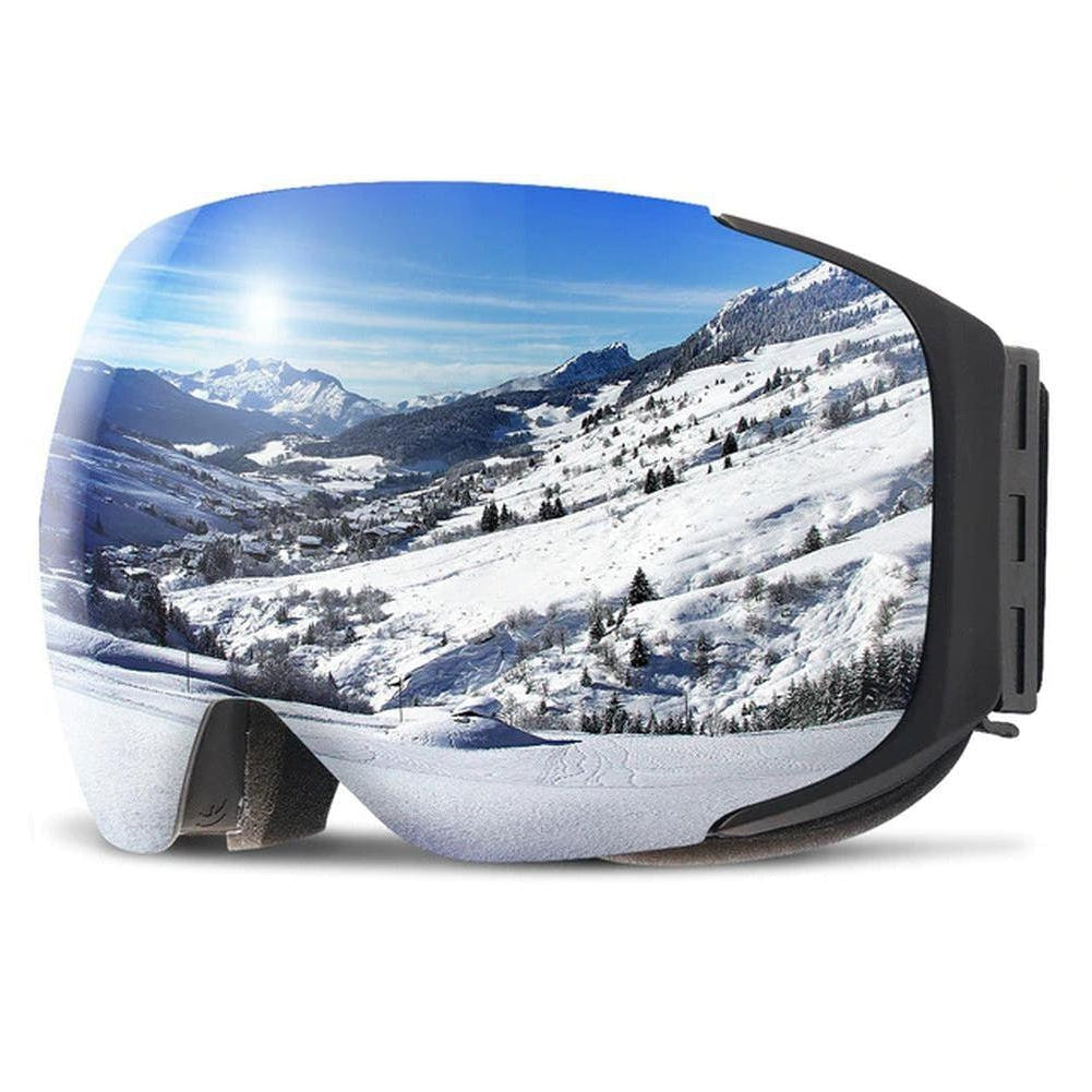 North Royal Adelphi Ski Goggles