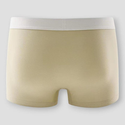 North Royal Cody 4 Piece Set Breathable Brief