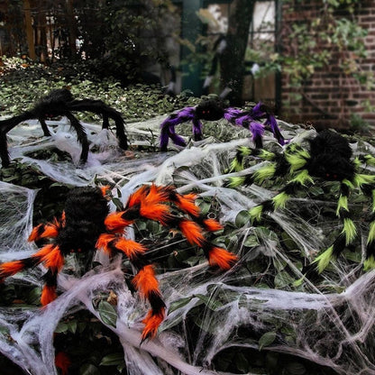 North Royal Giant Spider