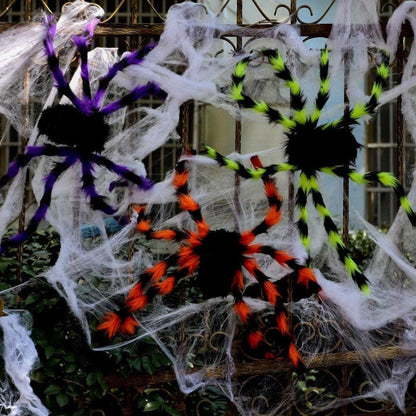 North Royal Giant Spider