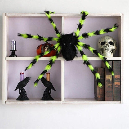 North Royal Giant Spider