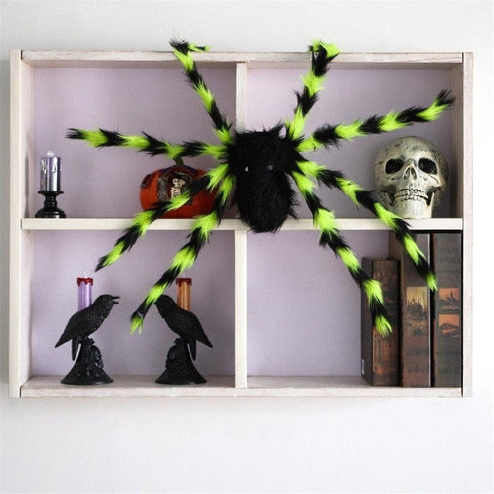 North Royal Giant Spider