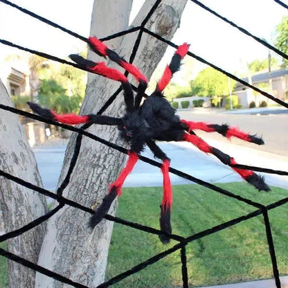 North Royal Giant Spider