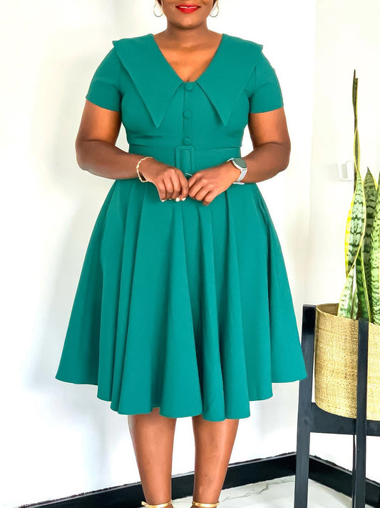Elegant A-Line Dress With Doll Collar And Flare Skirt