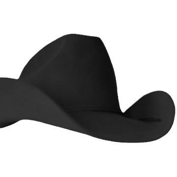 Trendy Wool Felt Cowboy Hat for Men