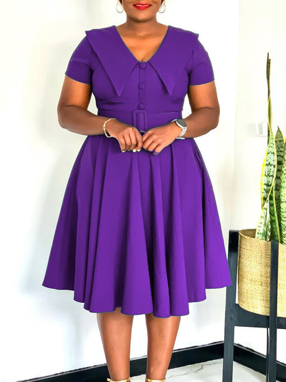Elegant A-Line Dress With Doll Collar And Flare Skirt