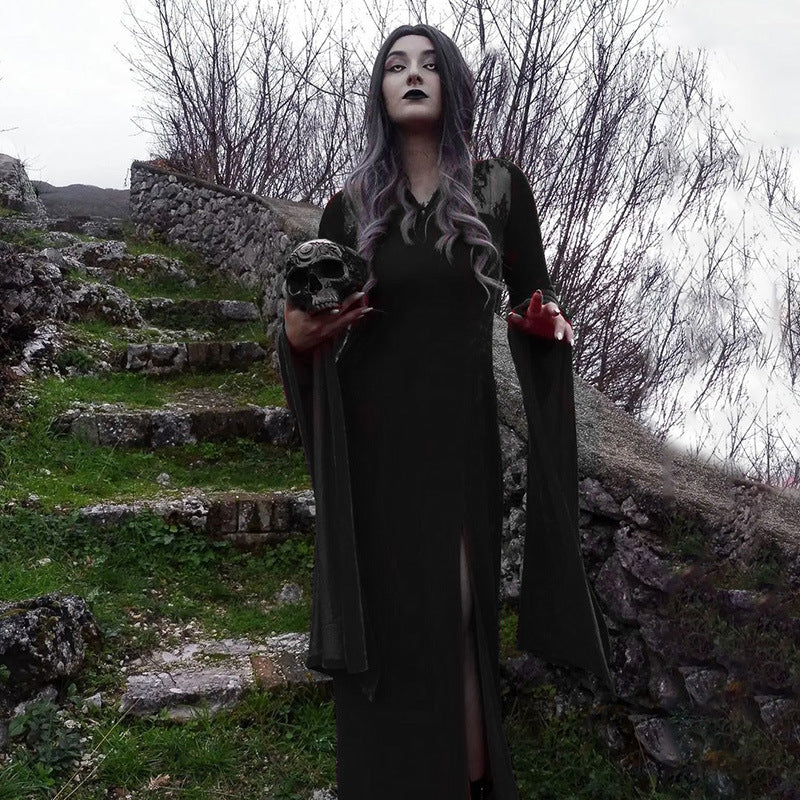 Elegant Black Lace Witch Costume Dress