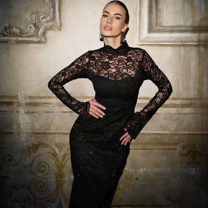 Elegant Black Lace Panel Bodycon Long Sleeve Dress