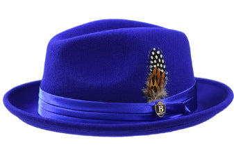 Men's Wool Fedora Hat with Bowknot and Feather, Stylish Fall Winter Accessory