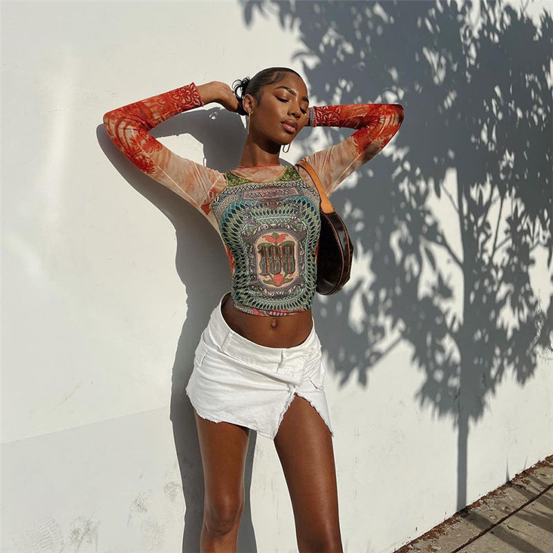 Color Block Sheer Long Sleeve Top With Geometric Print