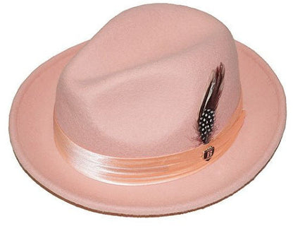 Men's Wool Fedora Hat with Bowknot and Feather, Stylish Fall Winter Accessory