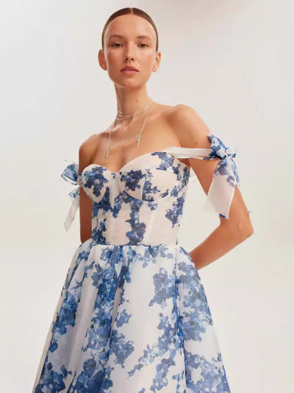 Off-Shoulder Elegant A-Line Evening Dress in Blue and Pink