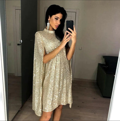Sequin Long Sleeve A-Line Dress With Zipper