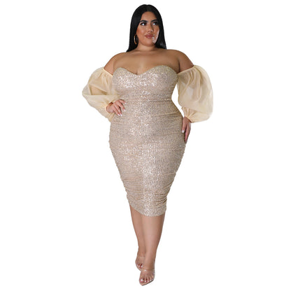 Sexy Sequin Bodycon Dress With Sheer Mesh
