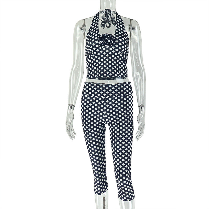 Polka Dot Print Two-Piece Set With Halter Neck Top And Skinny Pants