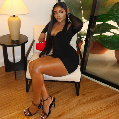 Bodycon Mesh Long Sleeve Dress For Women