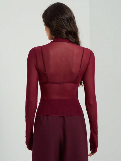 Mesh High Neck Long Sleeve Sheer Blouse