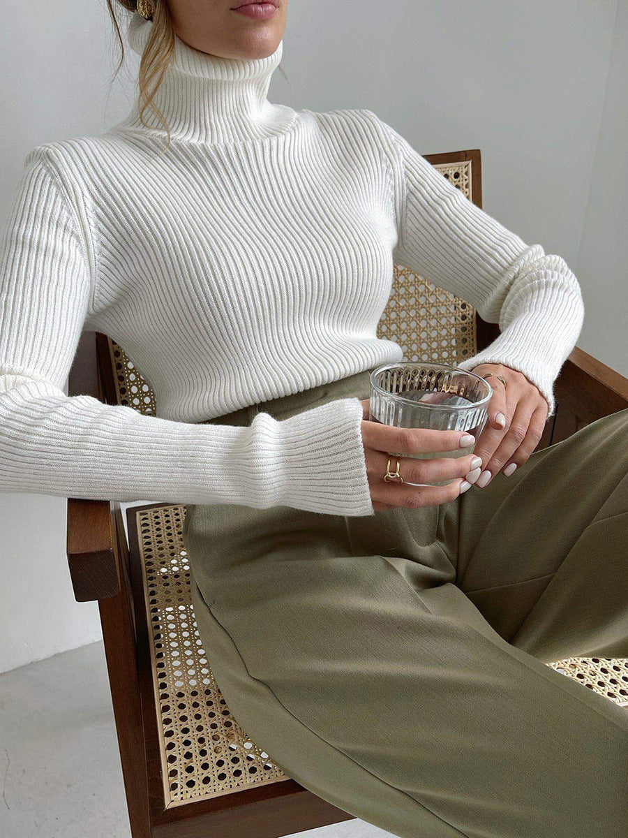 Long Turtleneck Knitted Sweater for Plus Size Women