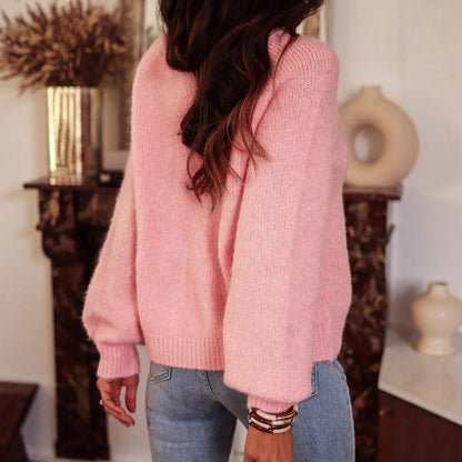 Elegant Round Neck Raglan Sleeves Knit Sweater