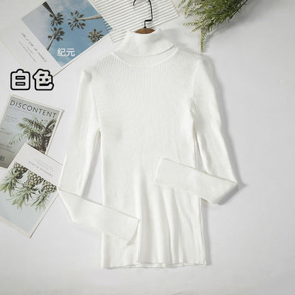 Long Sleeve High Neck Solid Color Sweater Comfortable Casual Wear