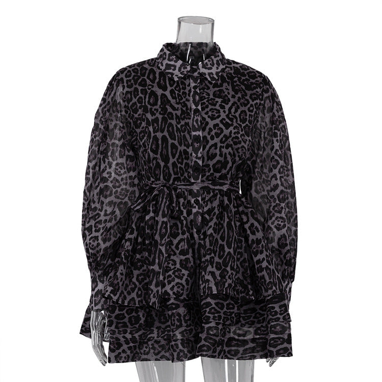 Chiffon Leopard Print Long Sleeve Dress Casual Street Style
