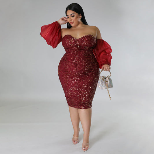 Sexy Sequin Bodycon Dress With Sheer Mesh