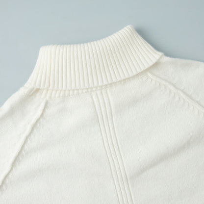 Knit Turtleneck Solid Color Casual Sweater
