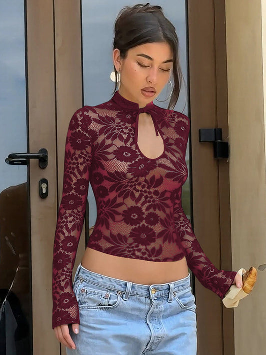 Fashionable Sheer Lace Long Sleeve Top