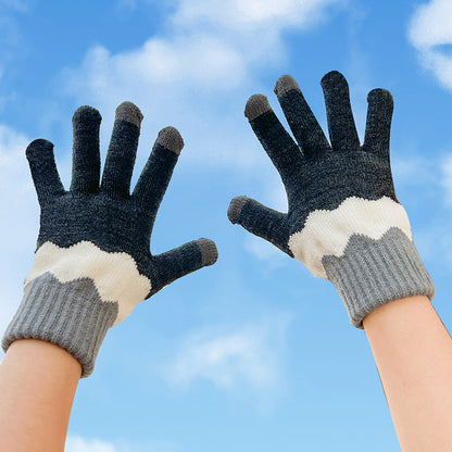 Touch Screen Warm Winter Knitted Gloves for Women
