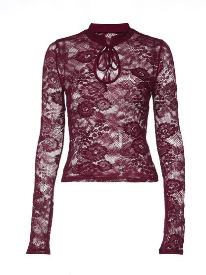 Fashionable Sheer Lace Long Sleeve Top
