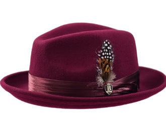Men's Wool Fedora Hat with Bowknot and Feather, Stylish Fall Winter Accessory