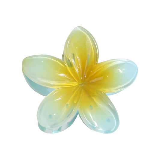 Vintage Colorful Flower Hair Claw Clip