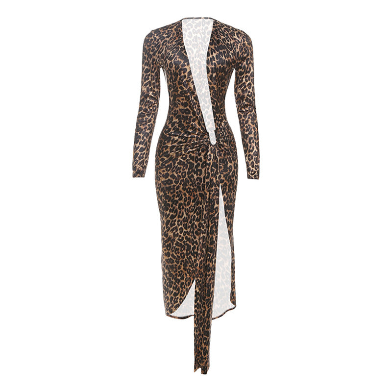 Animal Print Deep V Neck Long Sleeve Dress
