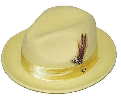Men's Wool Fedora Hat with Bowknot and Feather, Stylish Fall Winter Accessory
