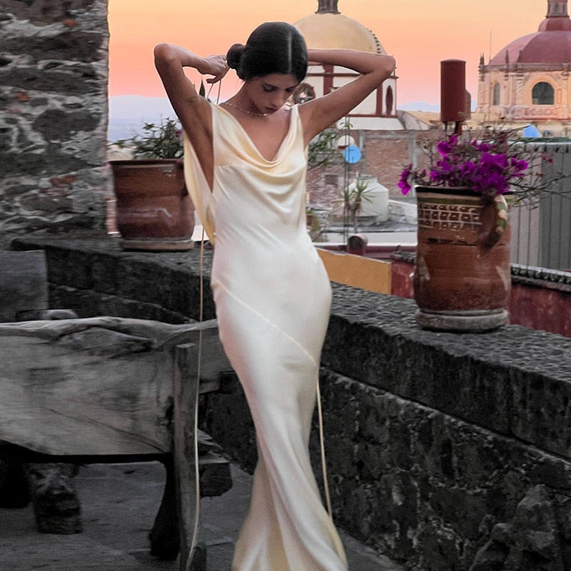 Rosa Elegant Dress