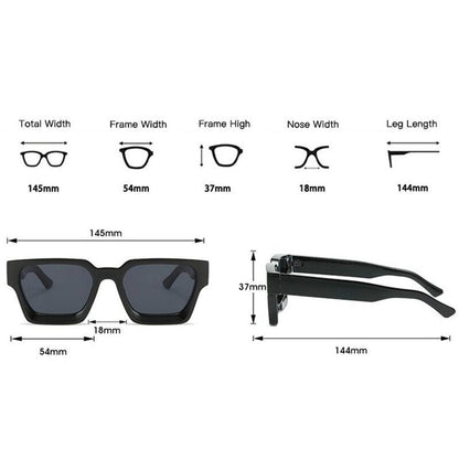 Saint Morris Kearny Sunglasses
