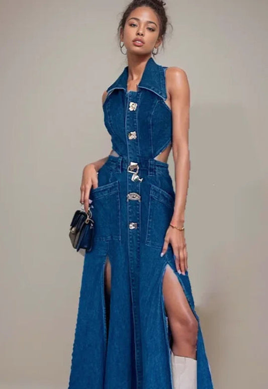 Derry Denim Dress
